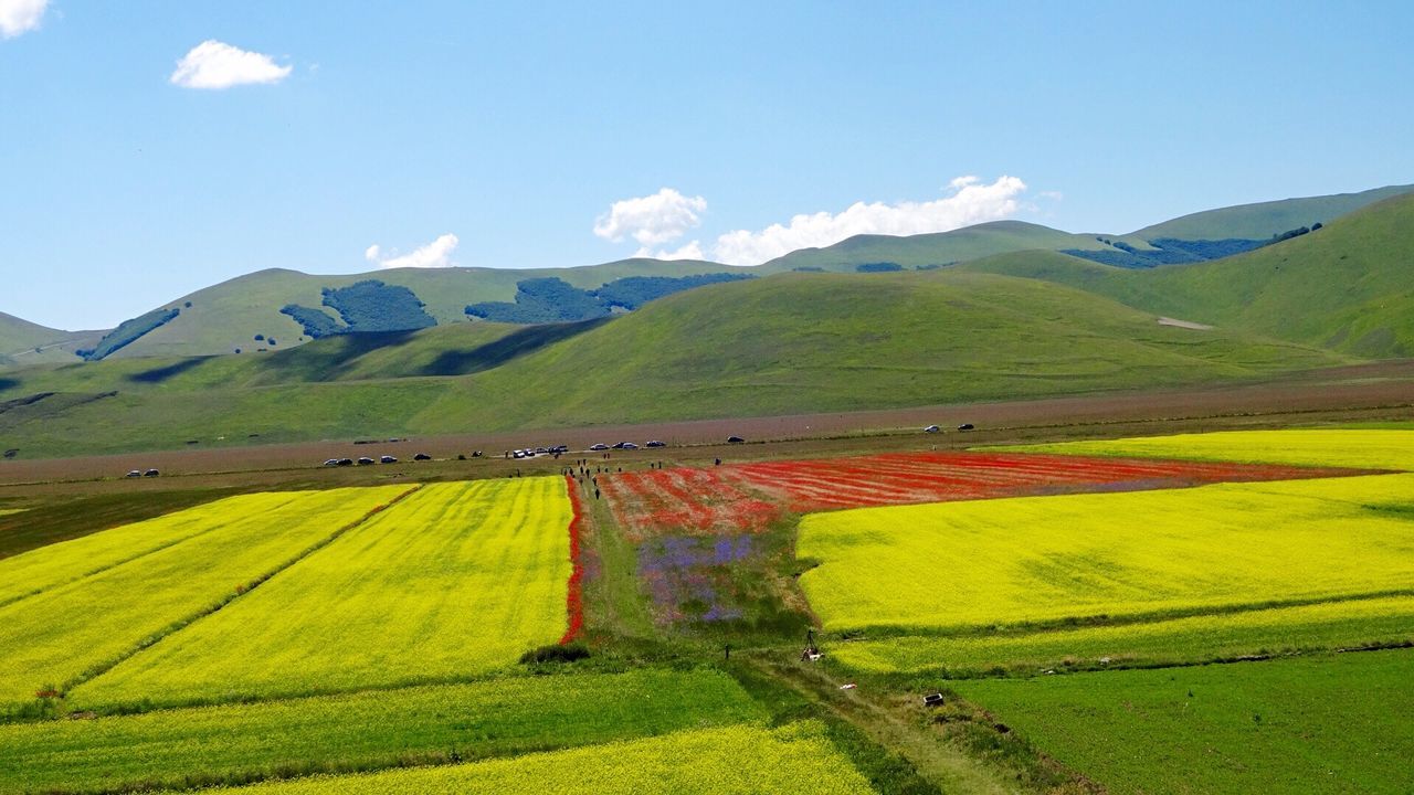 High angle view of agricultural field against sky