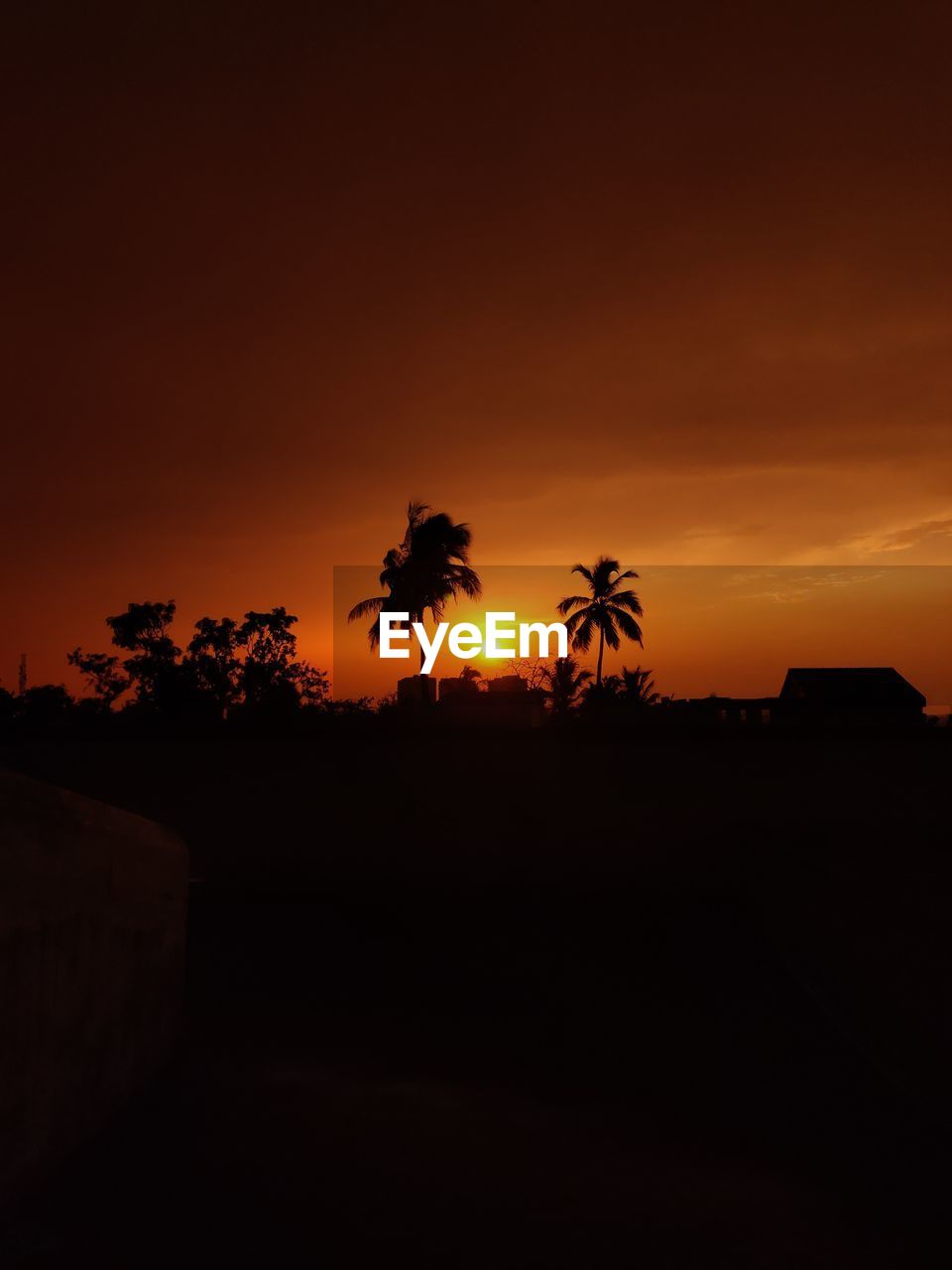 Silhouette palm trees against sky during sunset