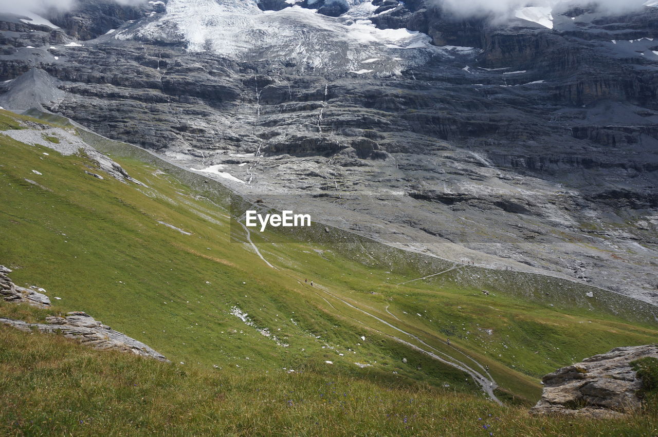 Scenic view of grass and mountains