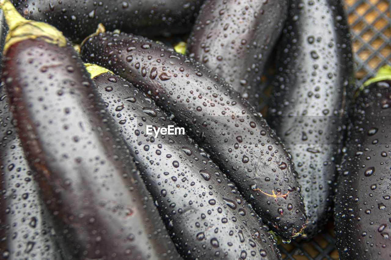 Close-up of raindrops on windshield