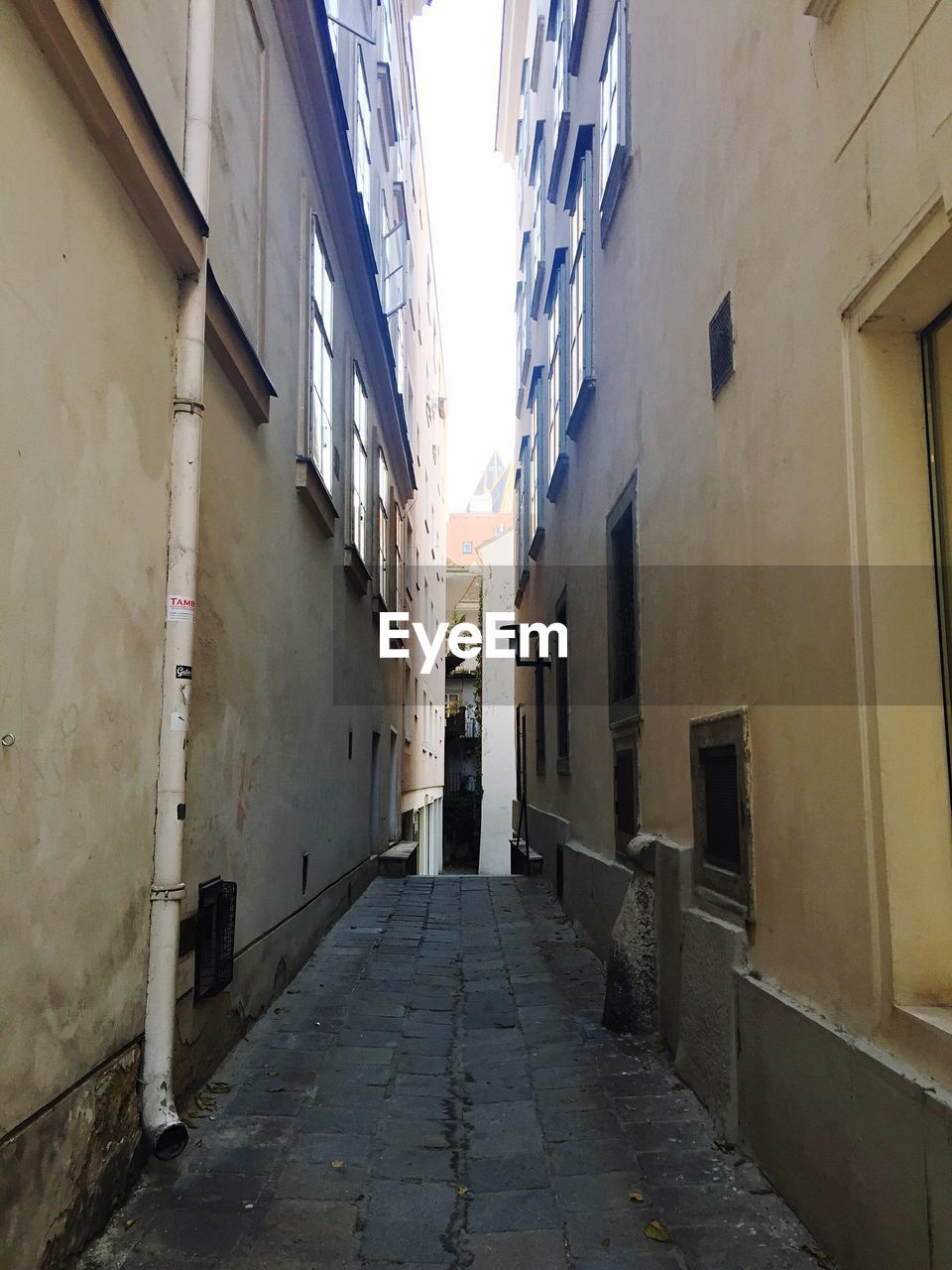 Narrow alley amidst buildings in city