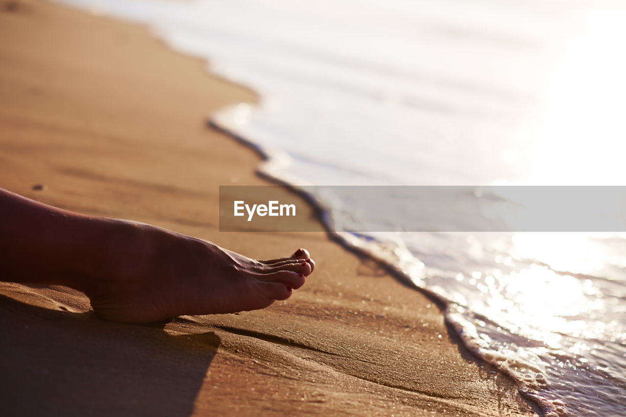 Cropped image of person on sand at beach