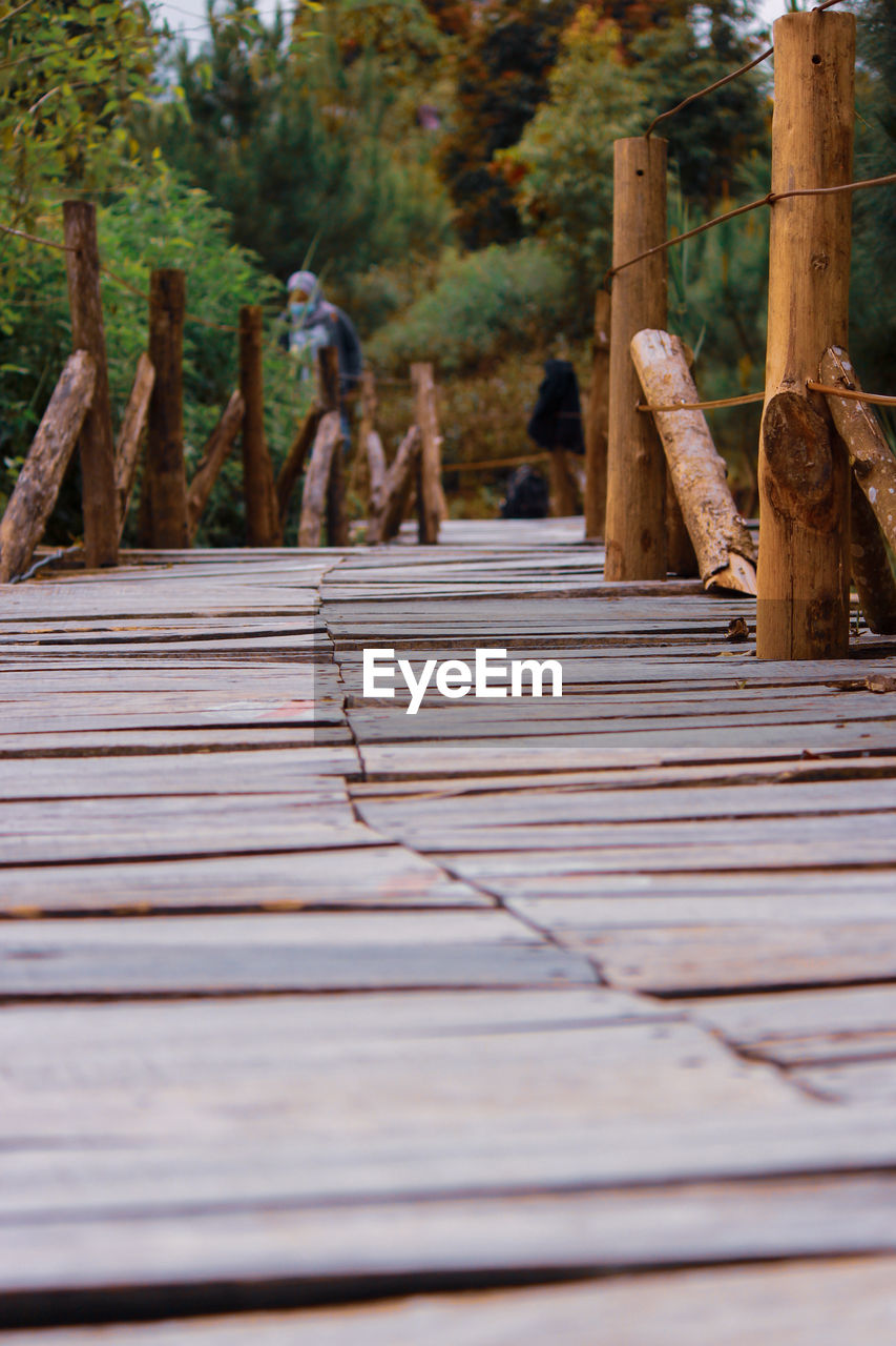 SURFACE LEVEL OF WOODEN FOOTPATH IN FOREST