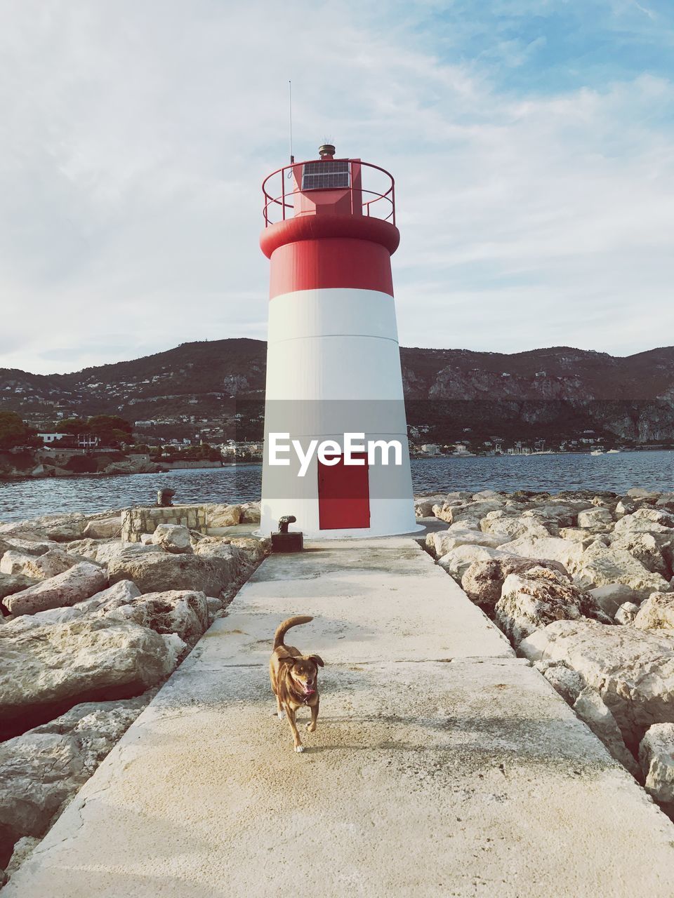 Dog against lighthouse by sea