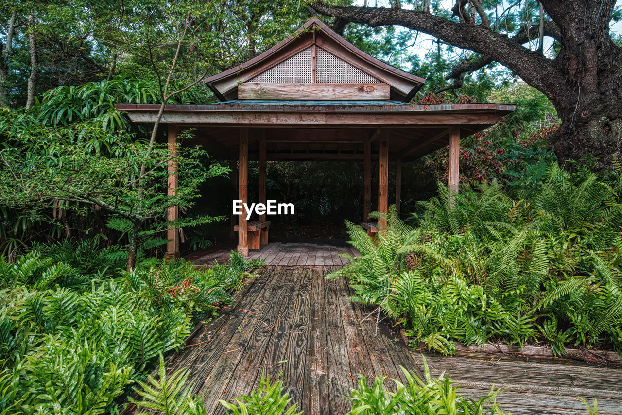 Wooden structure amidst trees and plants in forest