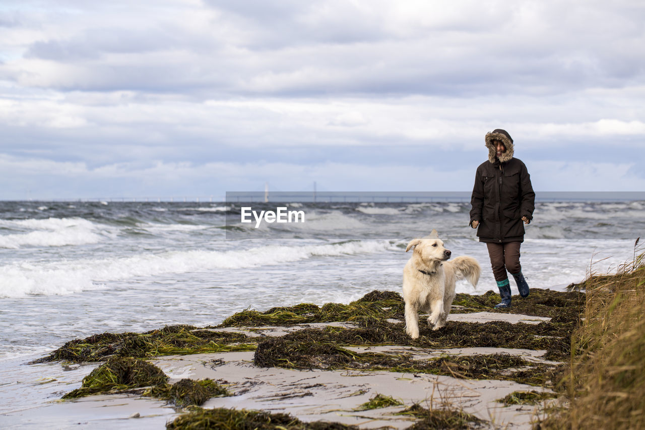 Woman with dog walking on beach