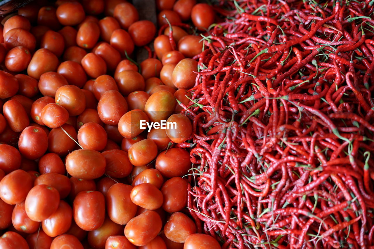 Bunch of spicy red chili and tomatoes