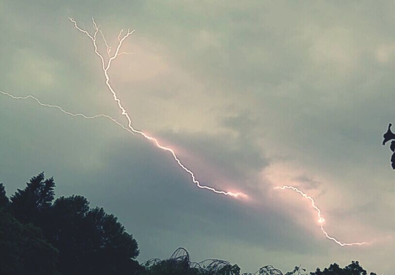 LOW ANGLE VIEW OF LIGHTNING OVER SILHOUETTE TREES