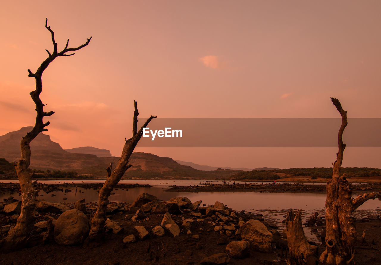 Bare tree by rocks against sky during sunset