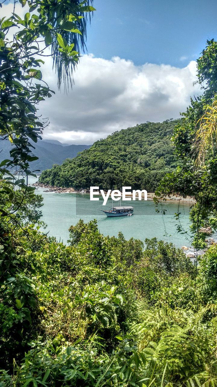 SCENIC VIEW OF LAKE AGAINST TREES