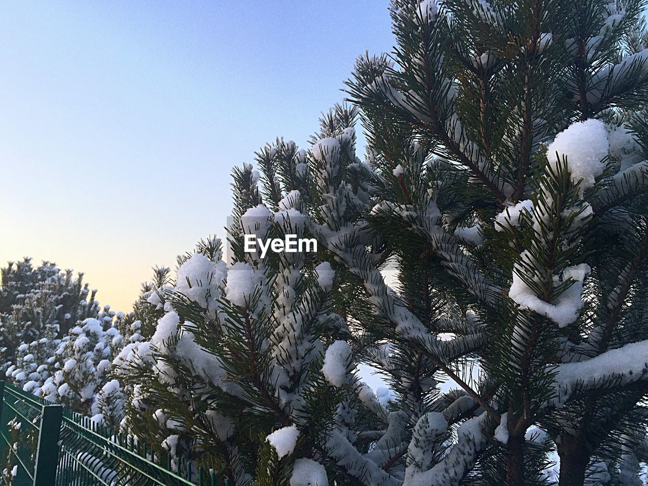 Low angle view of snow covered mountains against sky during sunset