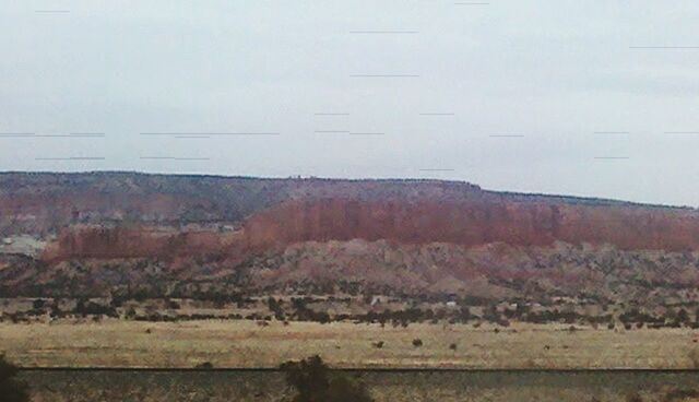 no people, outdoors, day, agriculture, nature, landscape, animals in the wild, animal themes, sky, mammal