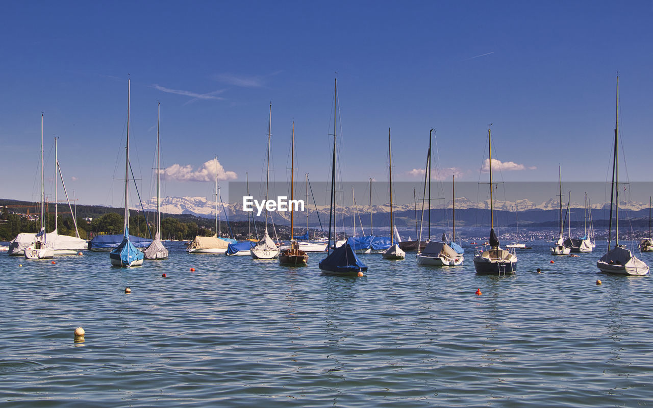 BOATS MOORED IN MARINA