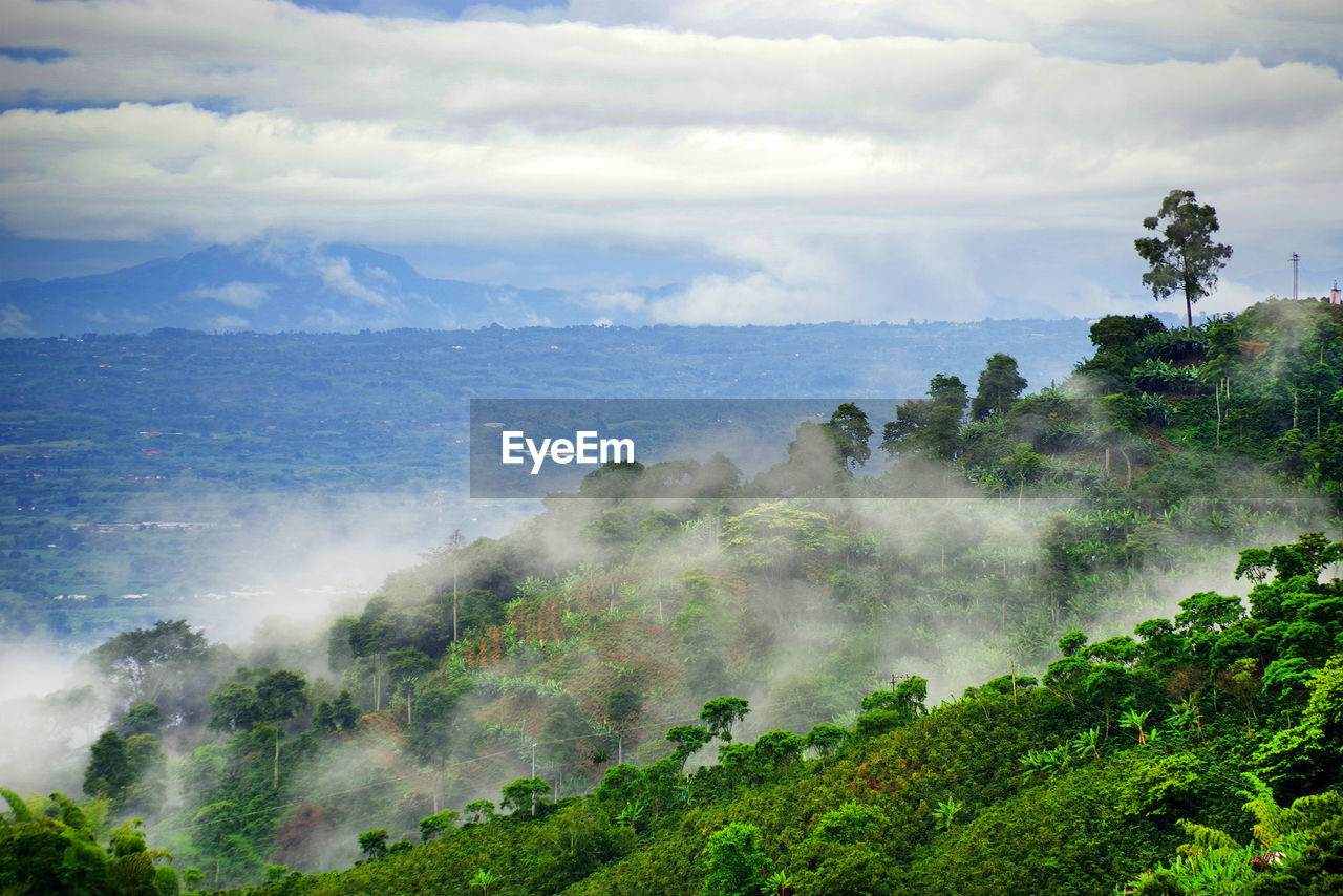 PANORAMIC SHOT OF LAND AGAINST SKY