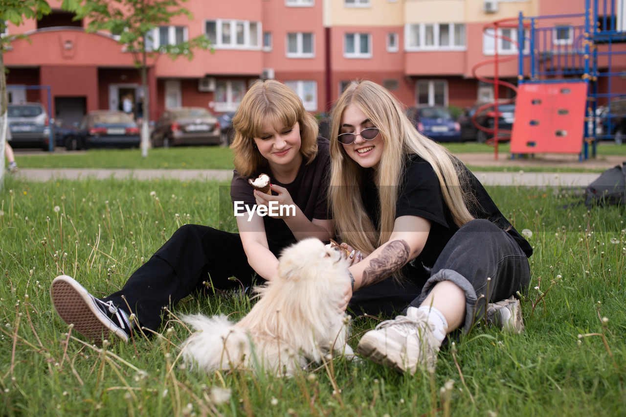 Pomeranian, white dog, two girls, eating ice cream, sitting on the grass