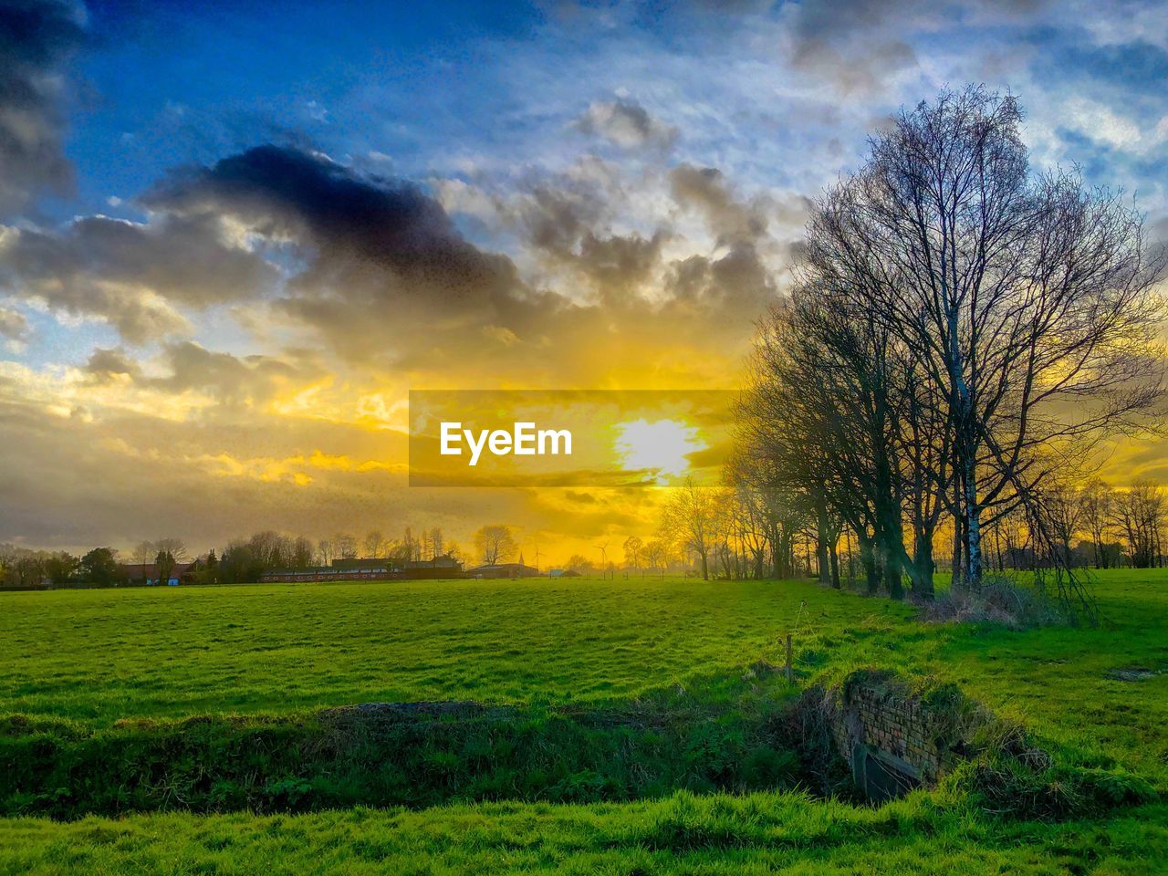 SCENIC VIEW OF GRASSY FIELD AGAINST SKY DURING SUNSET