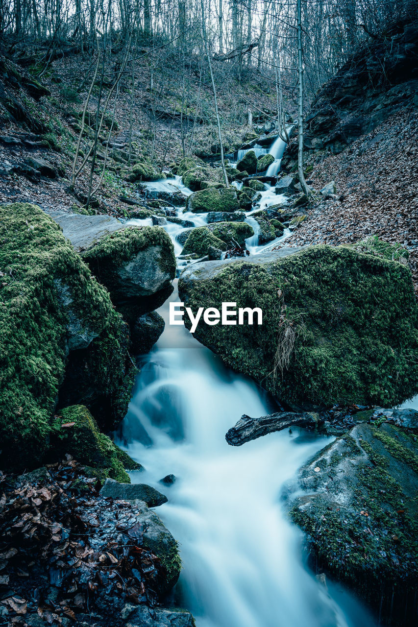 River flowing through rocks in forest