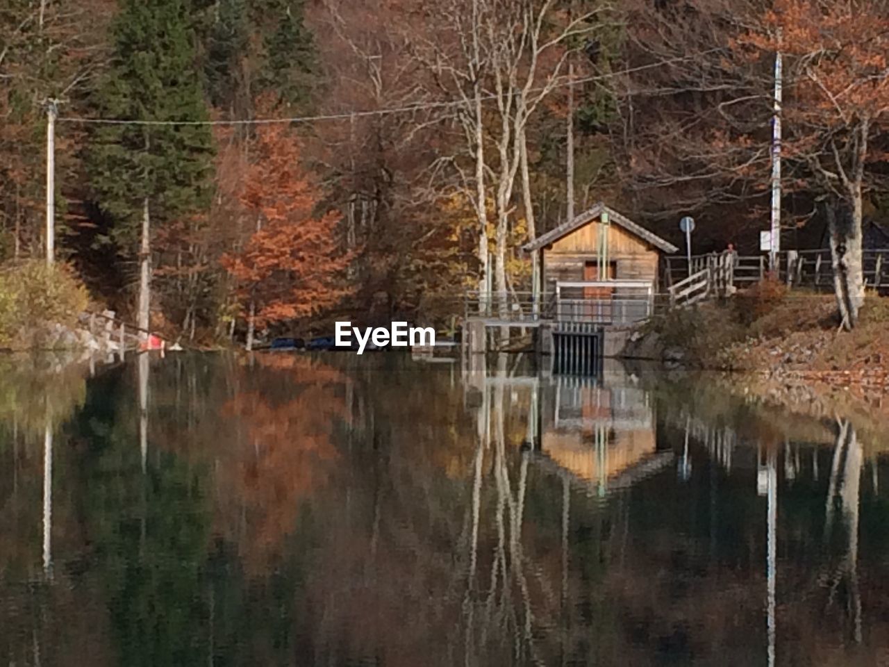 REFLECTION OF TREES ON WATER