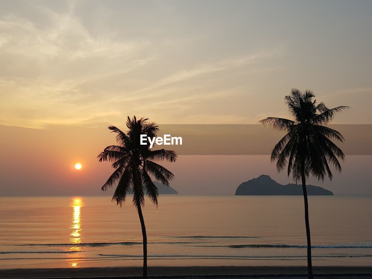 Silhouette palm trees by swimming pool against sky during sunset