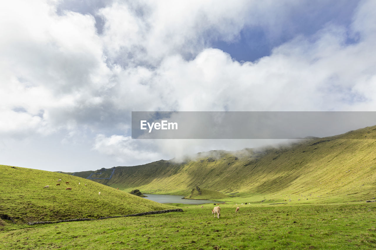 Scenic view of landscape against cloudy sky