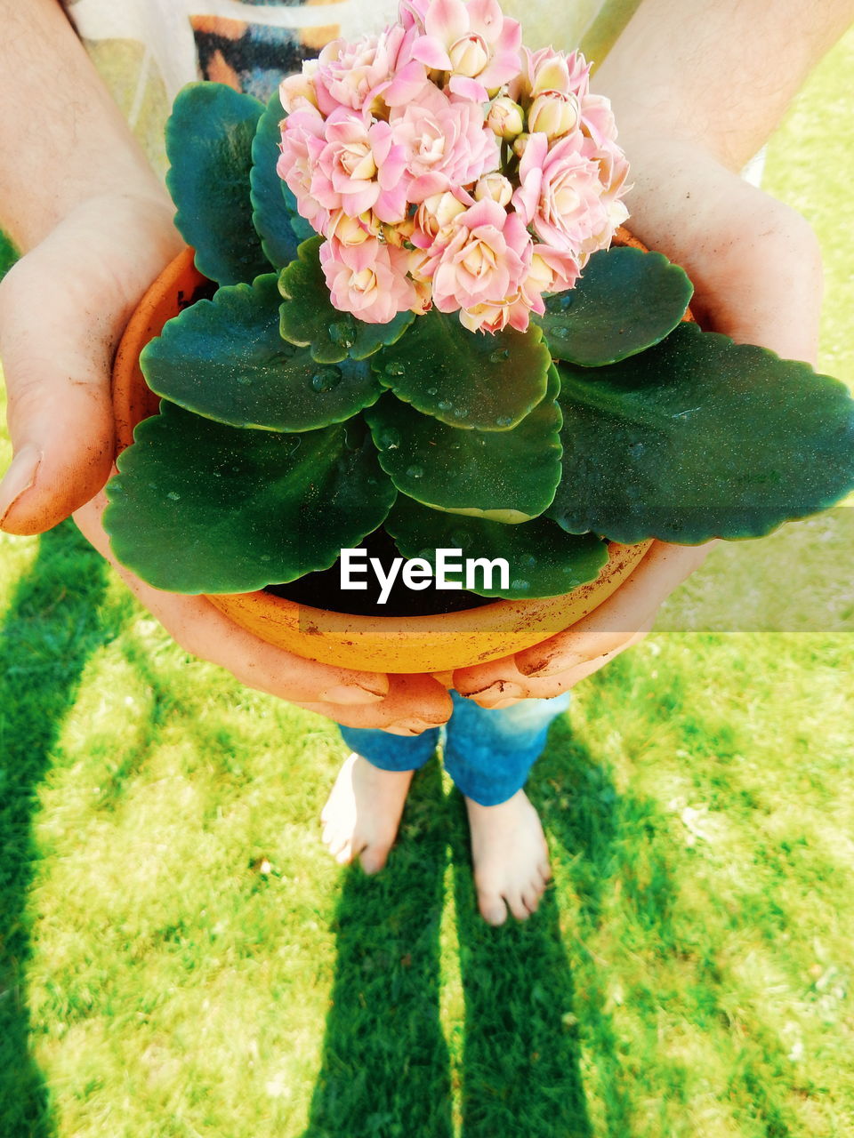 Woman holding flower pot