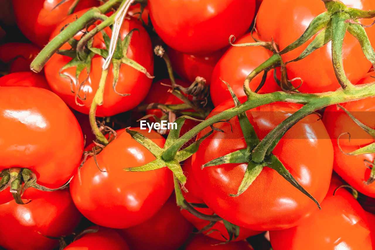 Ripe red tomatoes at farmers market. selling organic vegetables in the supermarket. 