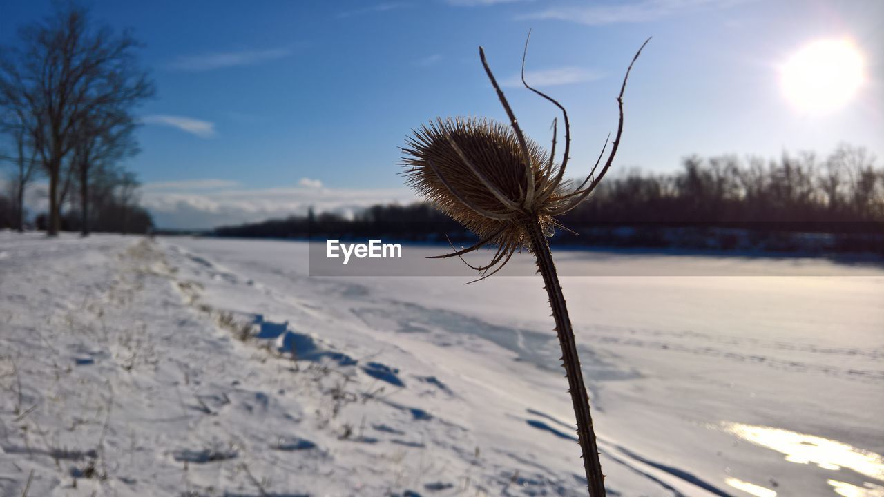 Snow covered land on field against sky