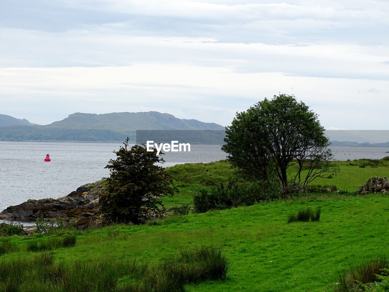 SCENIC VIEW OF GREEN LANDSCAPE BY SEA AGAINST SKY