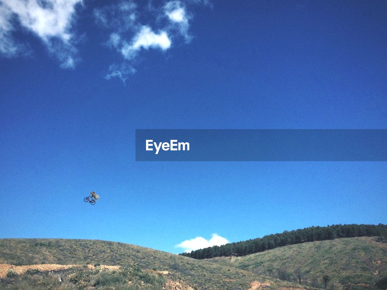 Digital composite image of pig flying with bicycle over mountains against sky