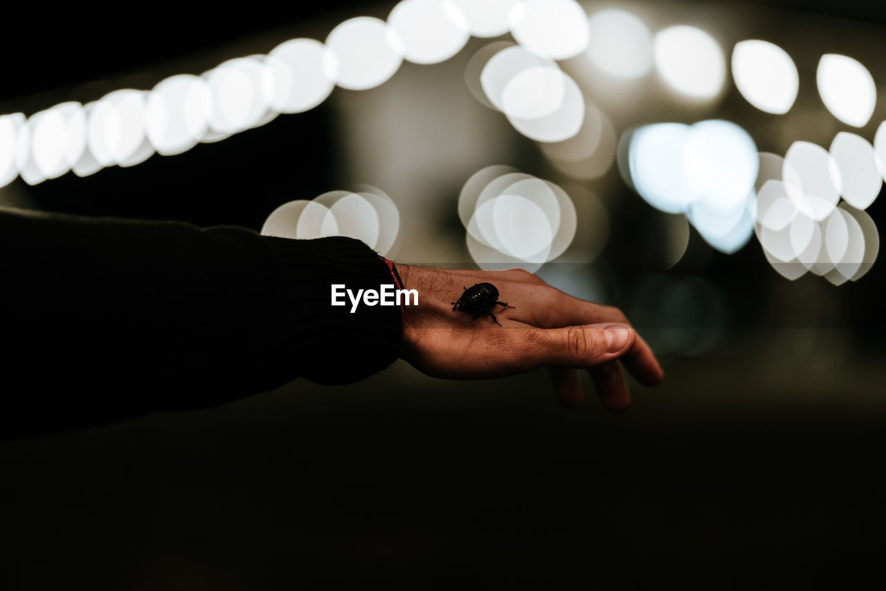 Cropped hand of man holding insect at night