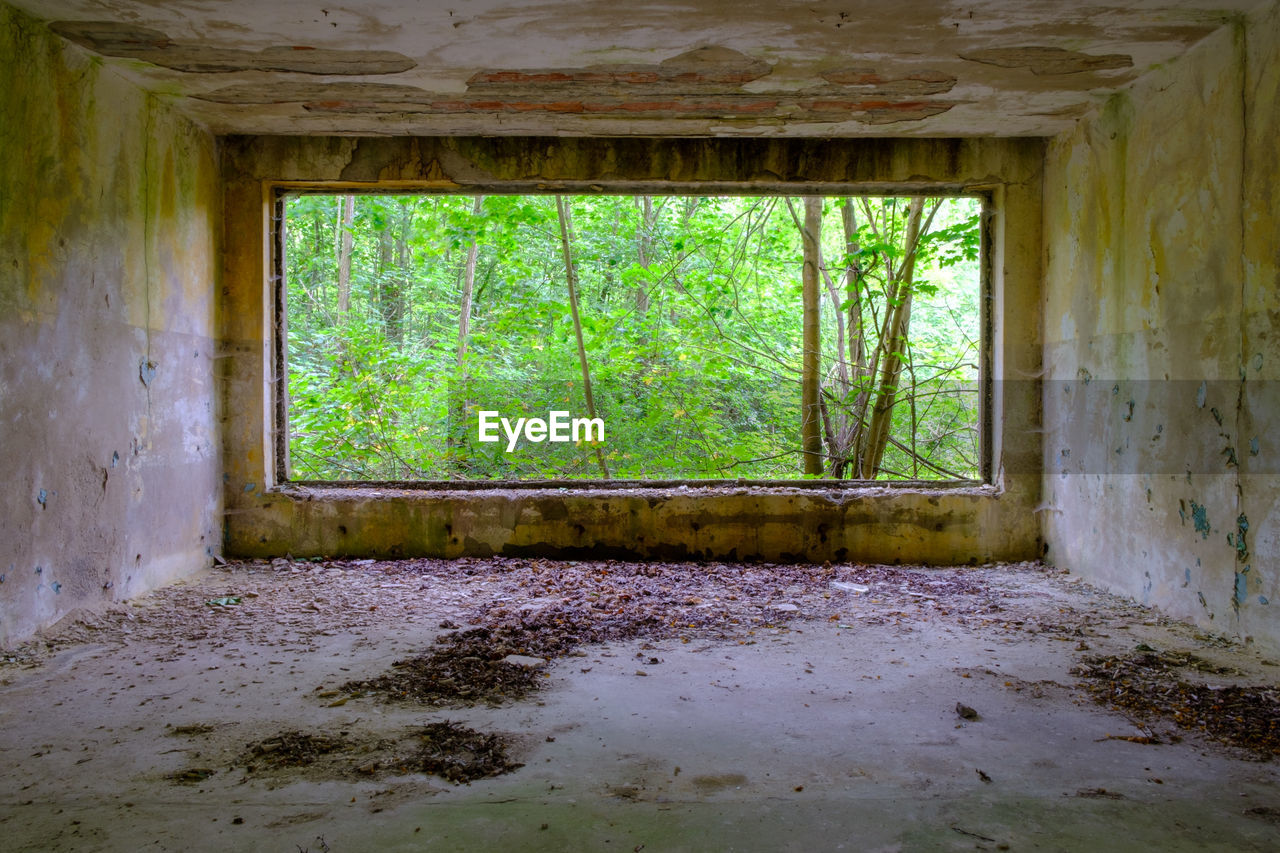 Interior of abandoned building