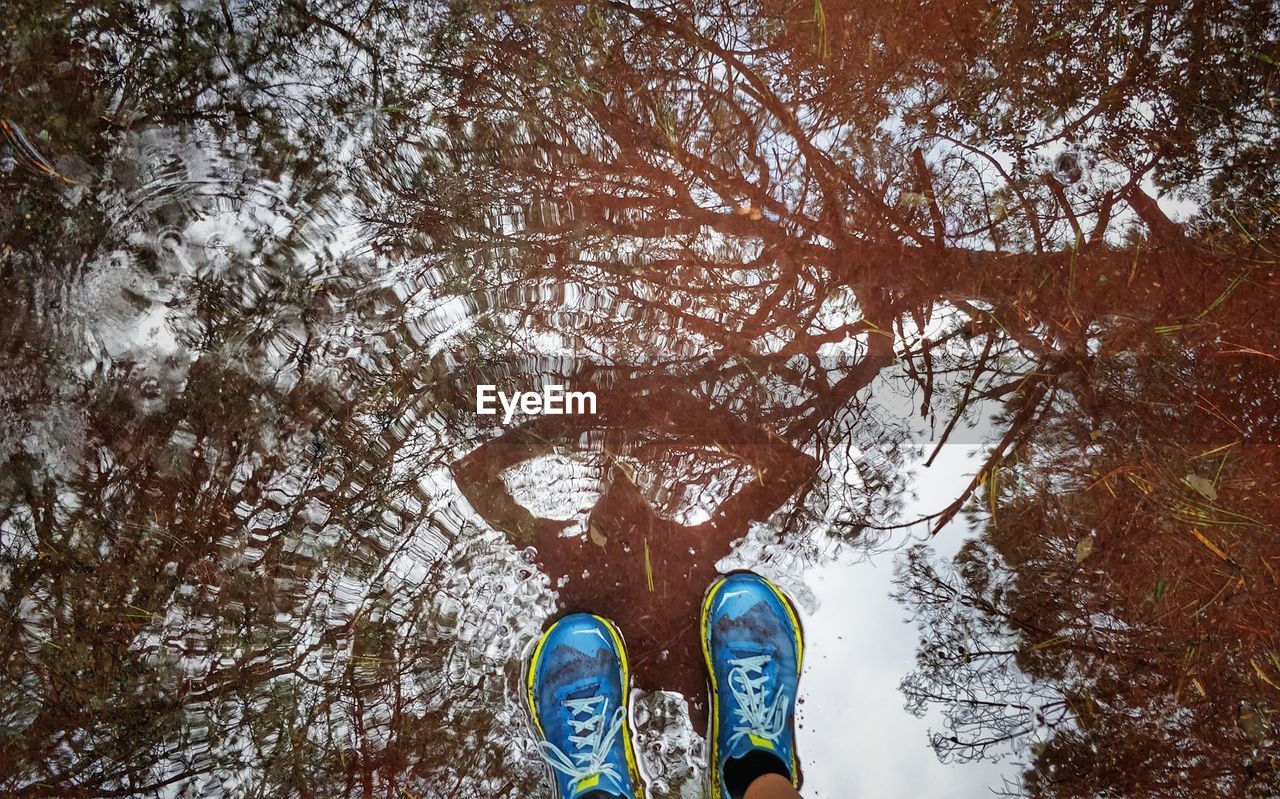 LOW SECTION OF PERSON STANDING BY TREES ON GROUND