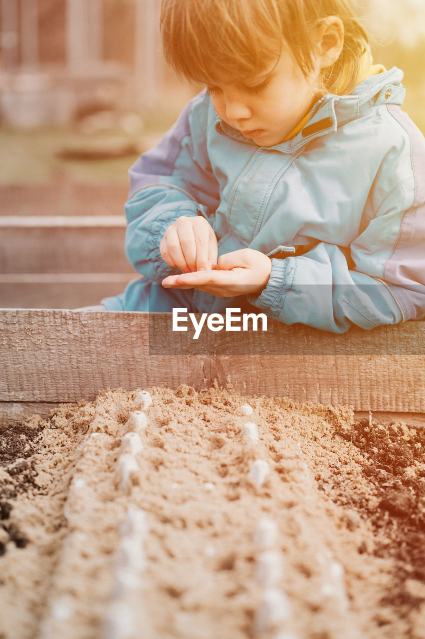 Spring planting seeding farm garden. little kid boy farmer gardener plants sow vegetable seeds soil