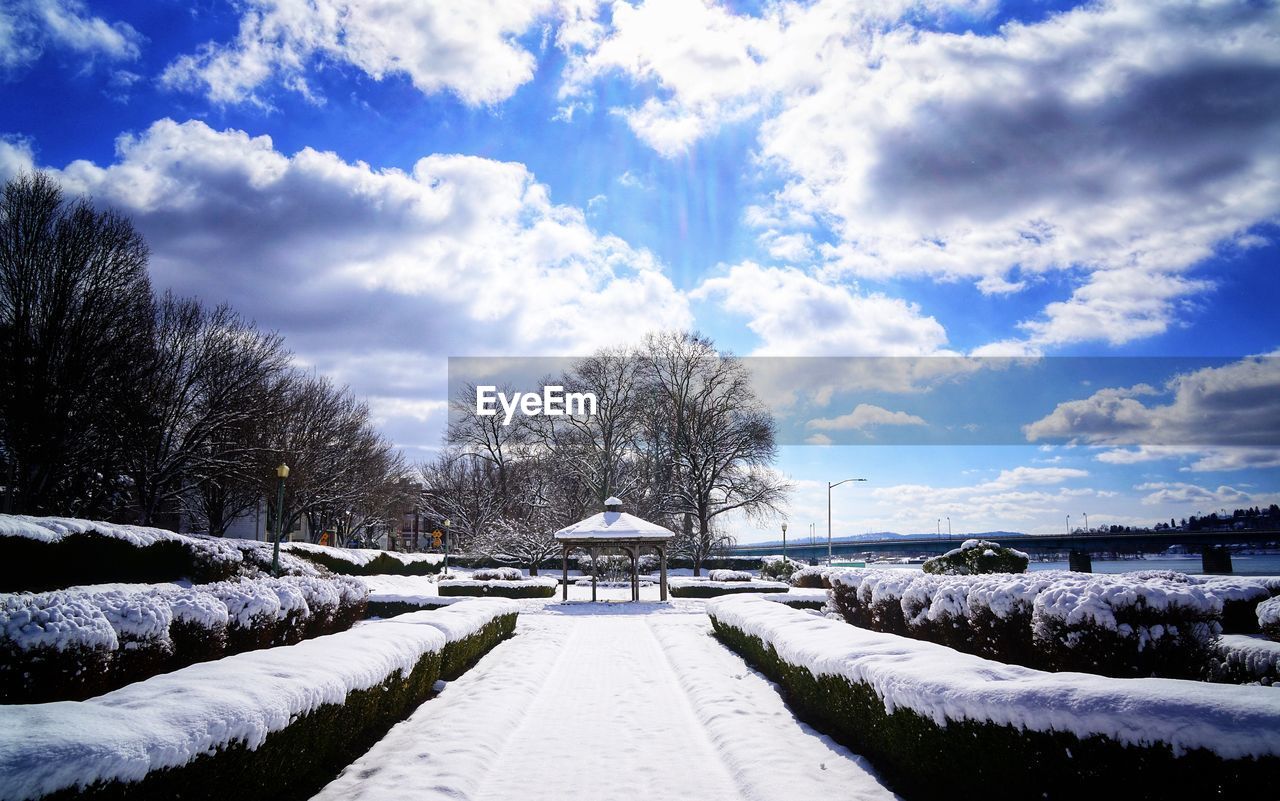 Snow covered plants and trees against sky