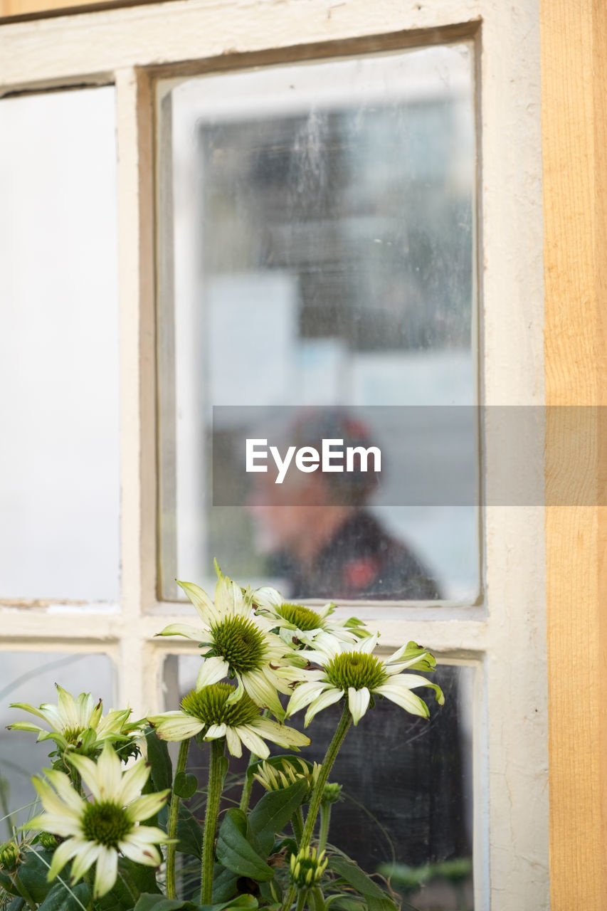 Close-up of man looking through window