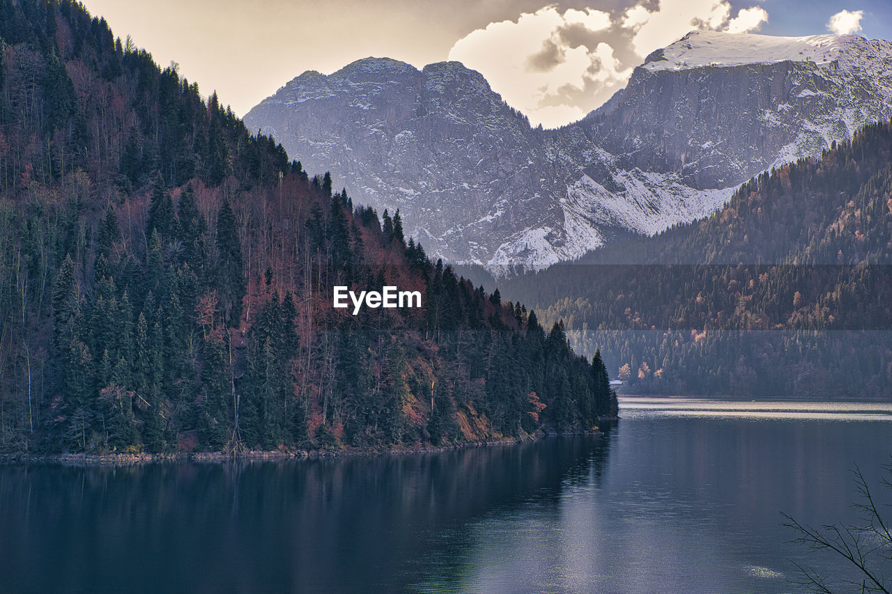 Lake ritsa surrounded by forested mountains in autumn, abkhazia, georgia