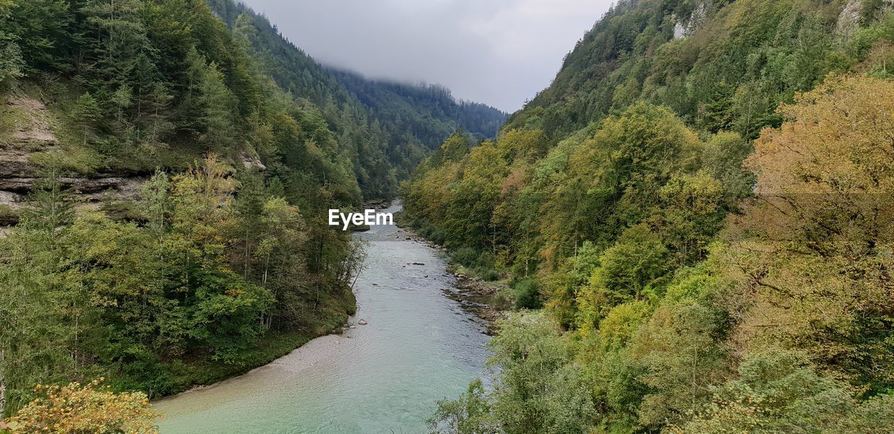 PANORAMIC VIEW OF RIVER AMIDST TREES AGAINST SKY