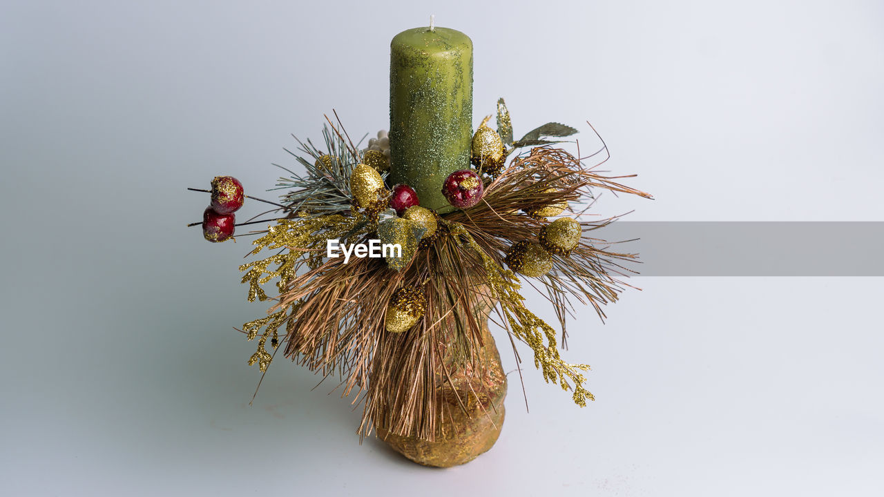 CLOSE-UP OF WILTED PLANT