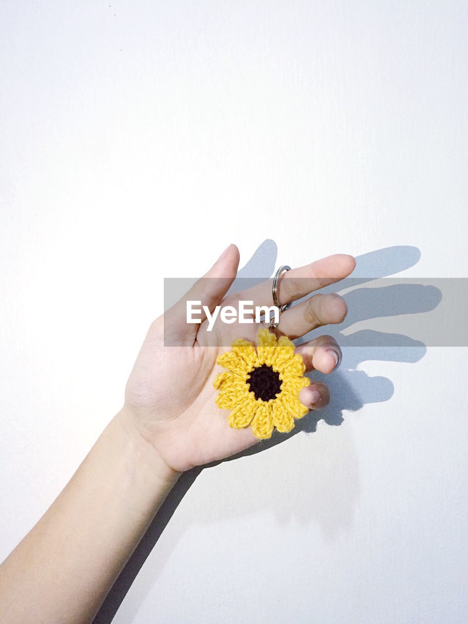 CLOSE-UP OF HAND HOLDING FLOWER