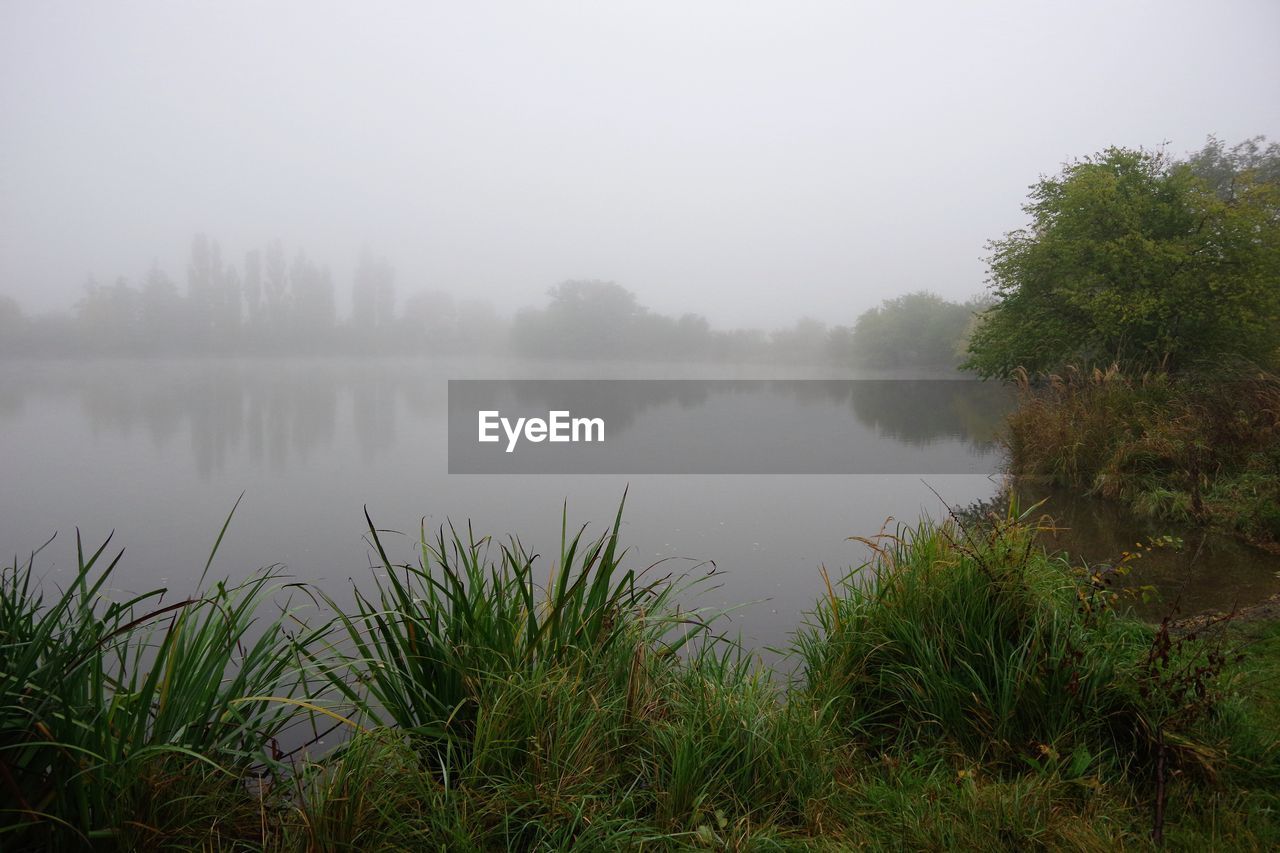 SCENIC VIEW OF LAKE AND TREES AGAINST SKY