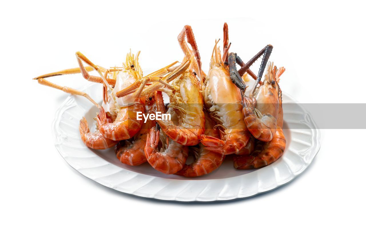 food, food and drink, seafood, plate, crustacean, white background, shrimp, animal, freshness, cut out, studio shot, meal, healthy eating, fish, meat, prawn, wellbeing, shellfish, dinner, dish, no people, indoors, fried, gourmet, lobster, seafood boil, cooked, animal themes, savory food