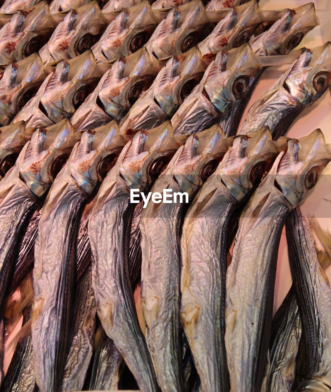 CLOSE-UP OF FISH AT MARKET