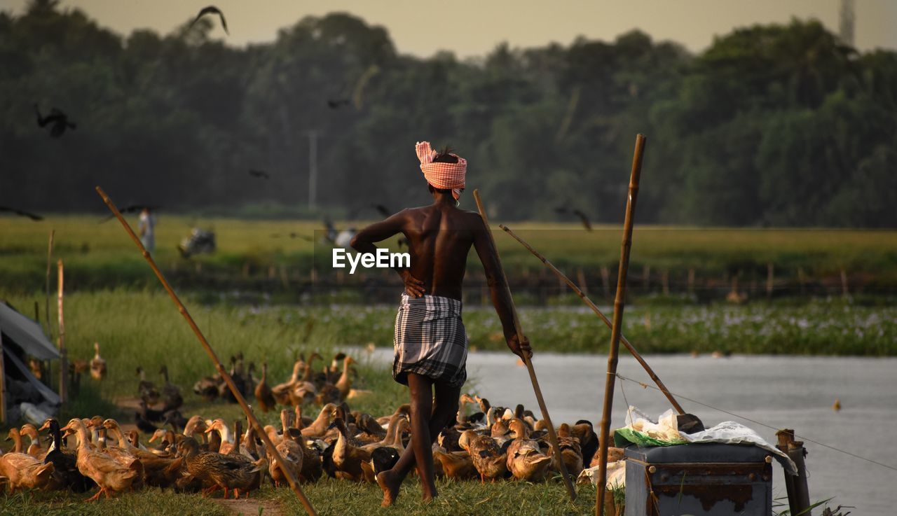 Man standing on field by water