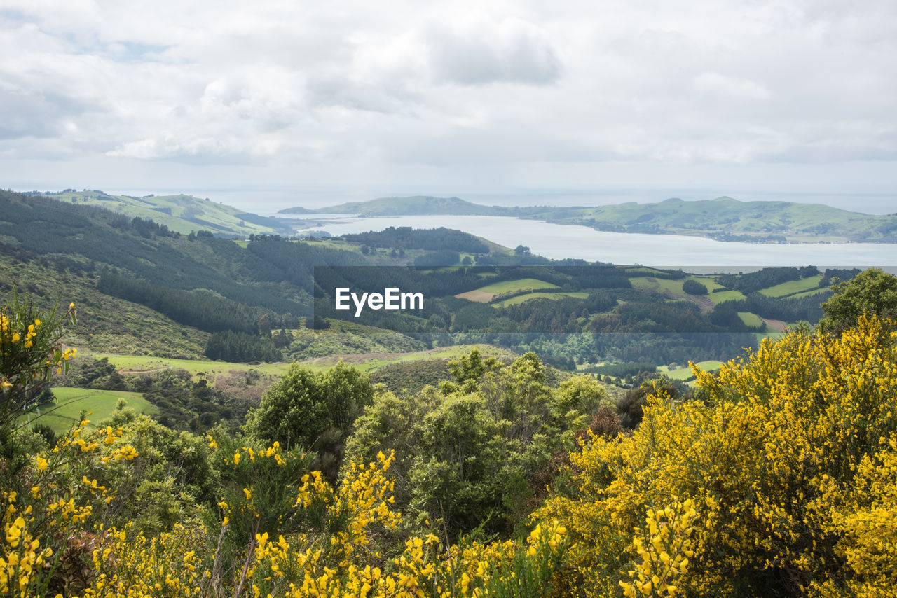 Scenic view of landscape and mountains against sky