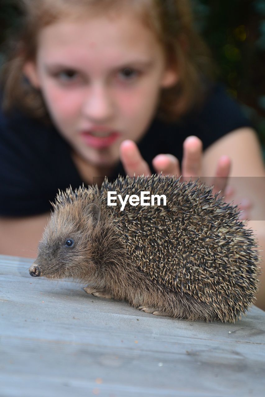 Portrait of girl touching hedgehog on table