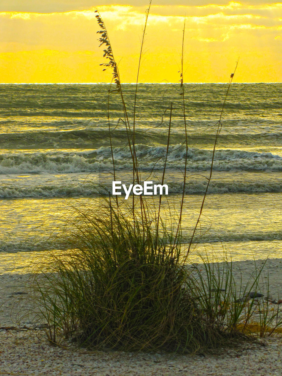 SCENIC VIEW OF SEA AGAINST YELLOW SKY