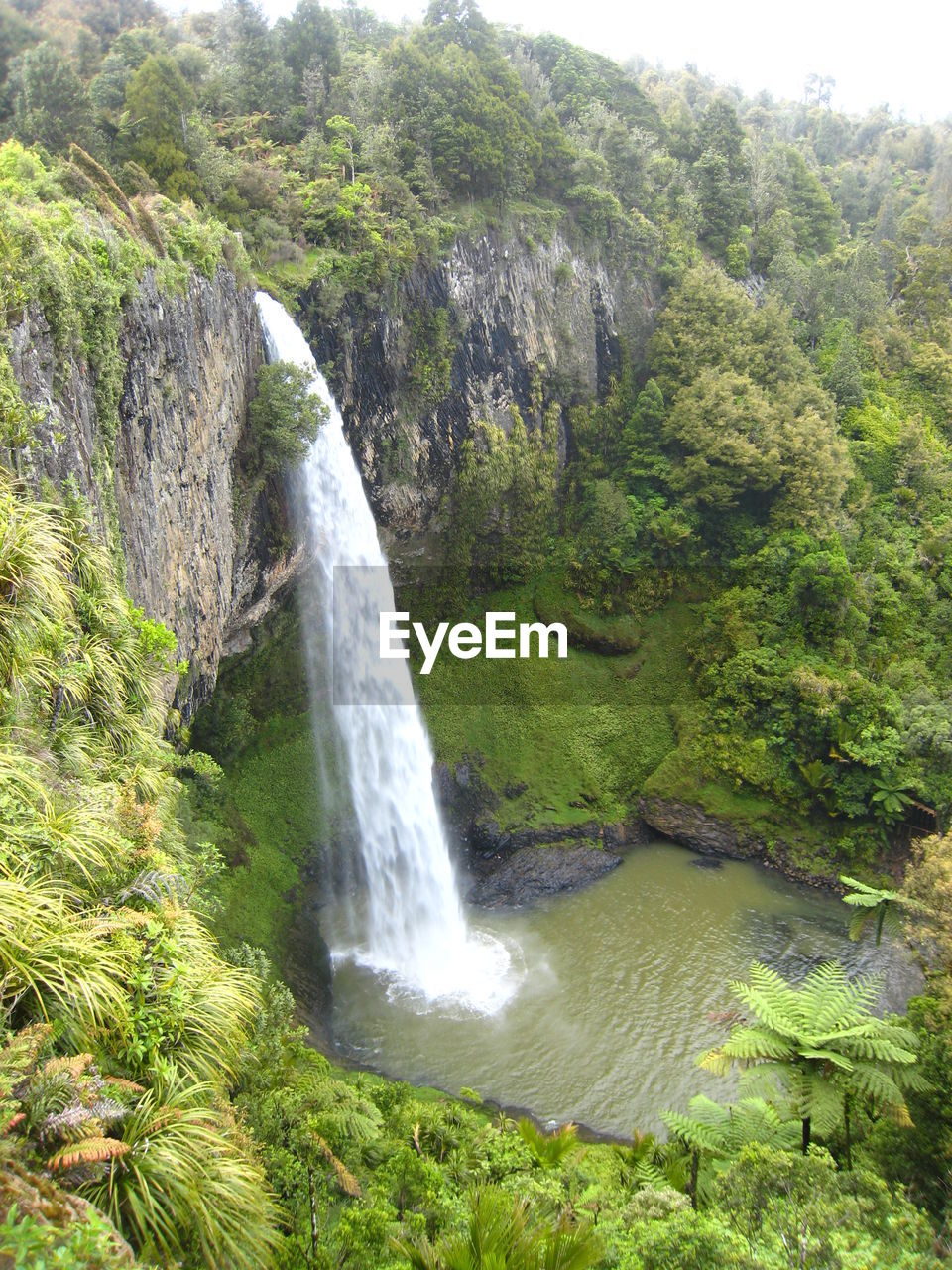 WATERFALL IN FOREST