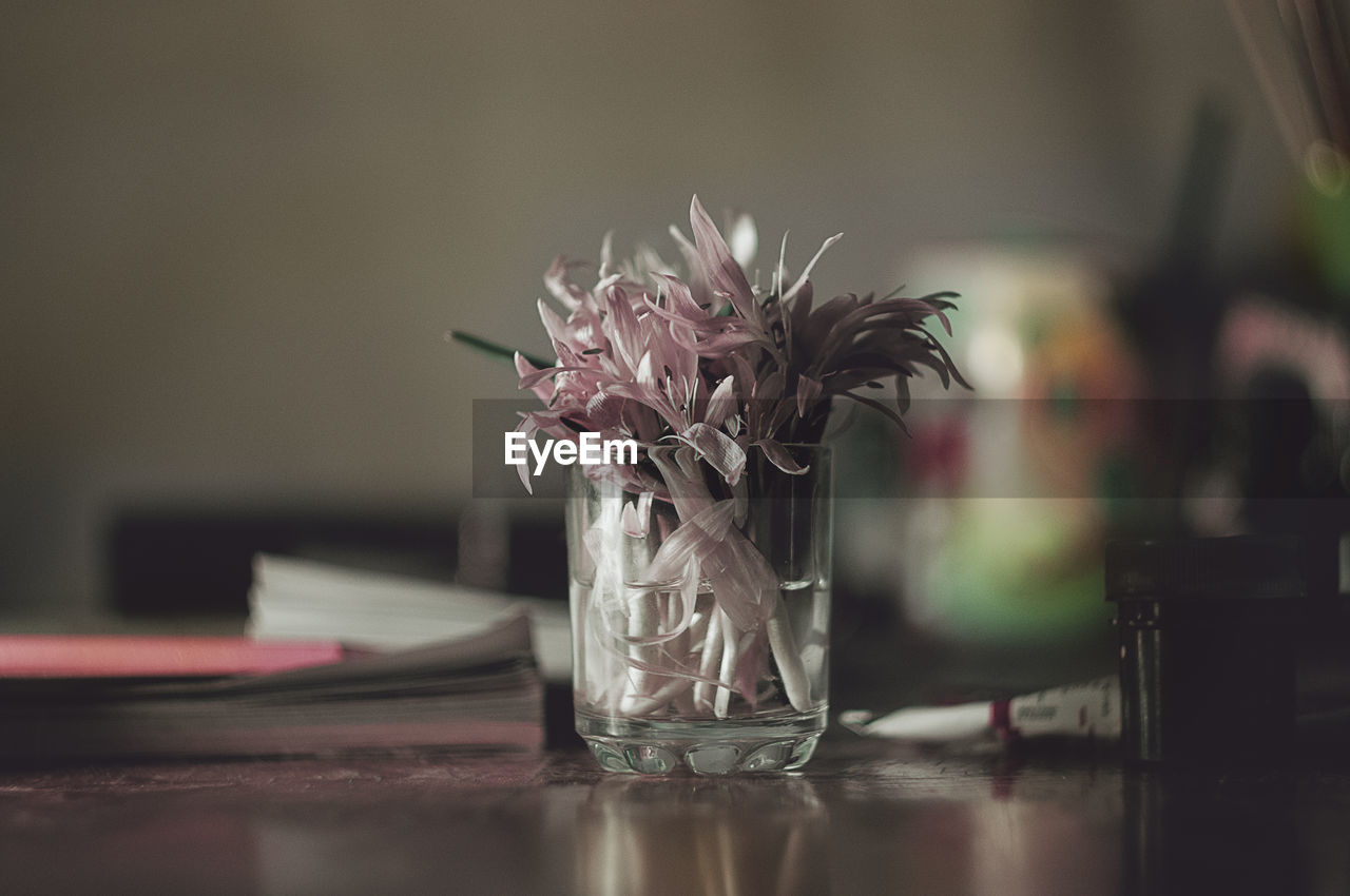 Close-up of flowers on table