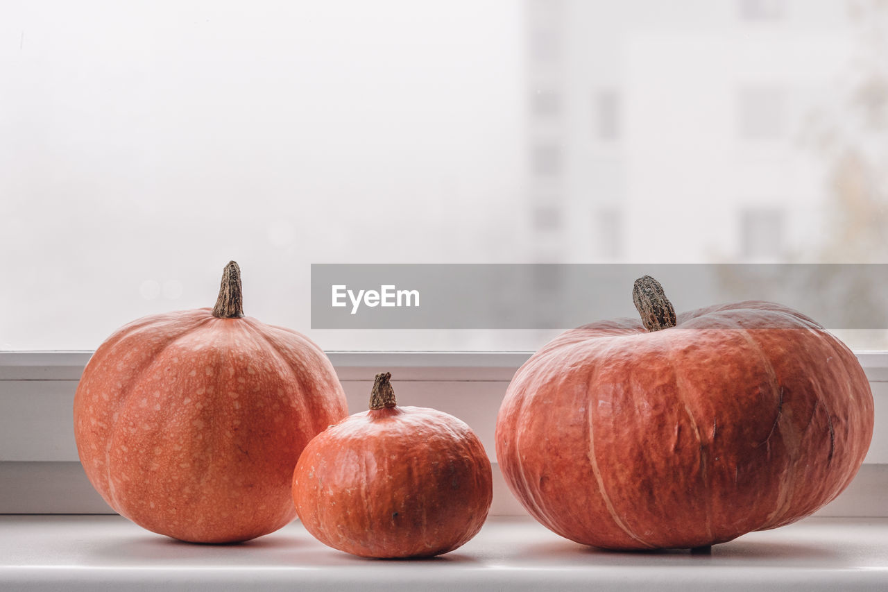 Close-up of three pumpkins on a window sill