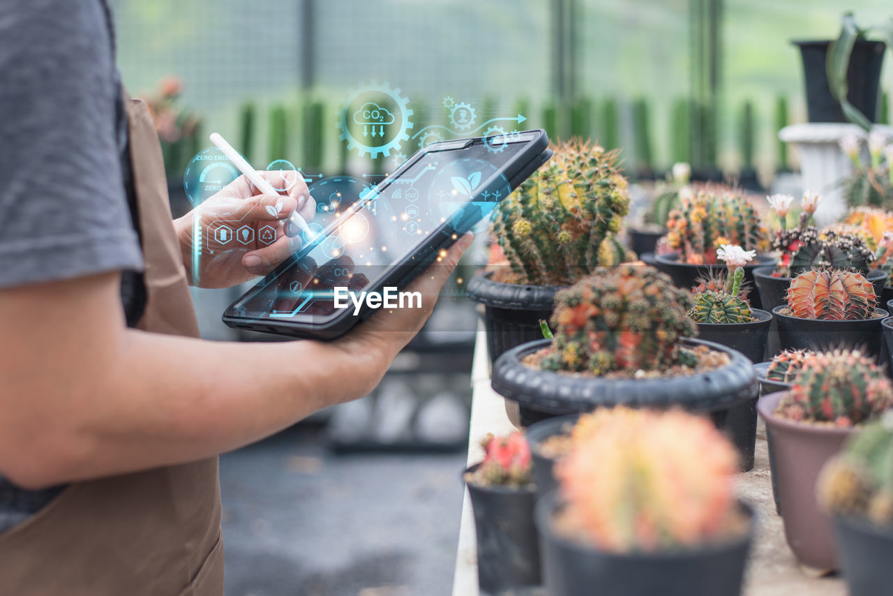 cropped hands of man holding potted plant